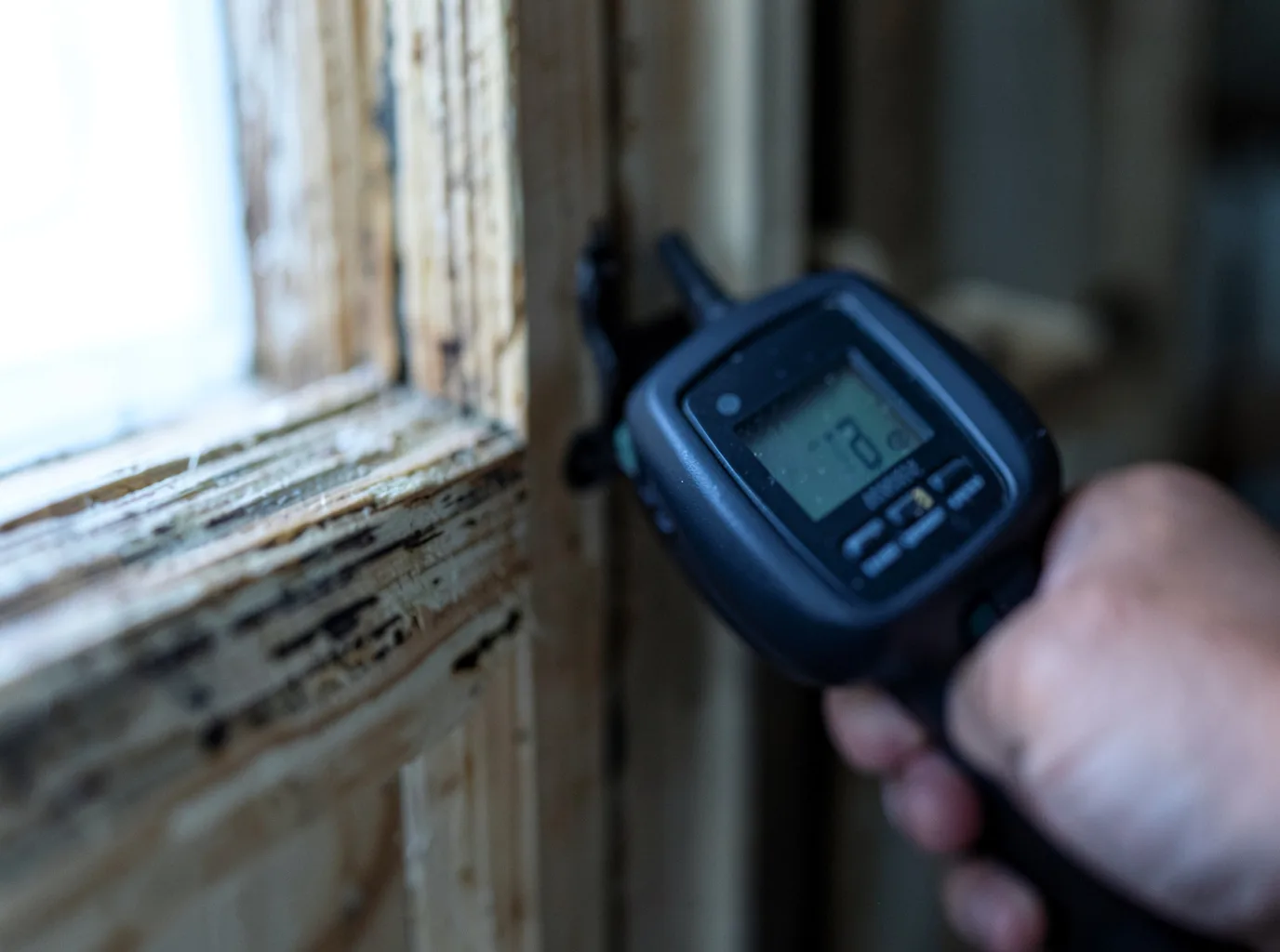 Ceiling Water Damage Repair in White Cloud, MI